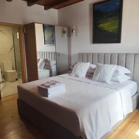 Casa Viriatu *