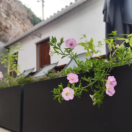 Casa Viriatu 度假居 *